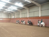 Horse Riding Lessons