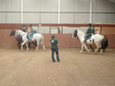 Horse Riding Lessons